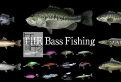switch游戏《THE Bass Fishing》中文版xci下载+1.1.2补丁