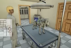 switch游戏《兽医 Animal Doctor》英文版NSP+XCI整合版下载【含1.02补丁】