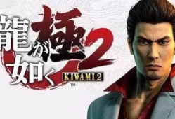 [单机游戏]《如龙：极2》汉化中文版下载
