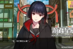 单机游戏《新宿葬命（SHINJUKU SOUMEI）》中文版下载