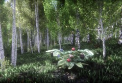浆果挑战赛 Berries Challenge 单机游戏中文版下载