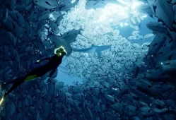 [单机游戏]《ABZU》中文版游戏下载