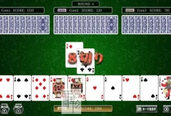 switch游戏《THE CARD Perfect Collection》中文版nsp/xci下载