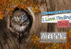 switch游戏《我喜欢寻找鸟类收藏版（I Love Finding Birds Collector's Edition）》英文版nsp下载