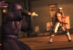 单机游戏《忍者龙剑传：大师合集 NINJA GAIDEN: Master Collection》免安装中文版下载（v1.0.2整合画集+原声音乐）