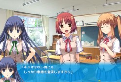 switch游戏《坂上台风 さかあがりハリケーン》日文版nsp/xci下载