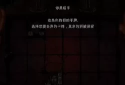switch游戏《魔域地牢 Spellsword Cards: DungeonTop》中文汉化版nsp/nsz/xci下载