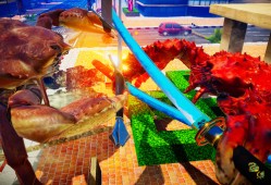 螃蟹大战 Fight Crab 单机游戏免安装中文版下载
